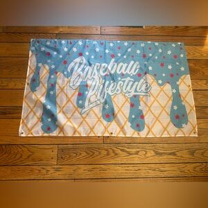Baseball Lifestyle Wall Hanging/Flag